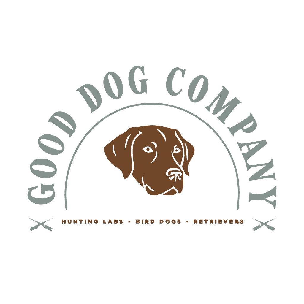 Retriever Flag Bearer Tee design