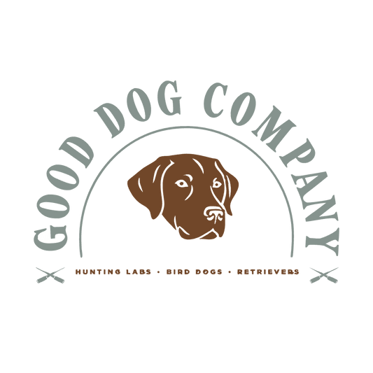 Retriever Flag Bearer Tee design
